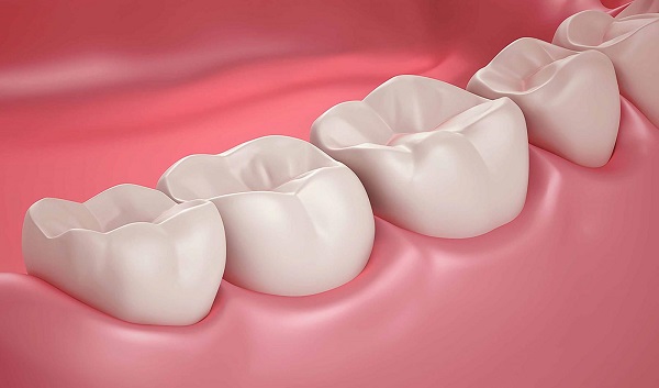Răng là bộ phận đầu tiên của cơ quan tiêu hóa.