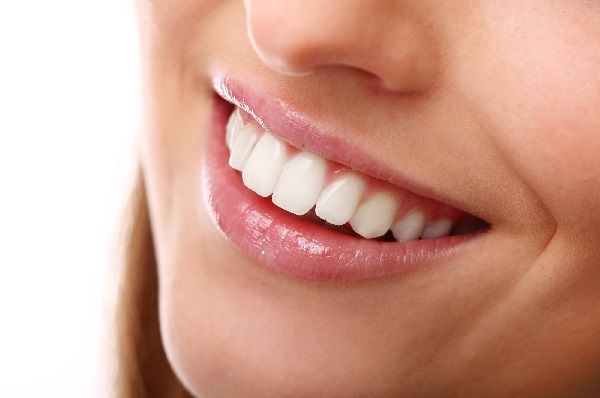 Răng thỏ có hình dáng đặc biệt