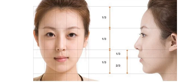 Kích thước có tỷ lệ chuẩn của khuôn mặt