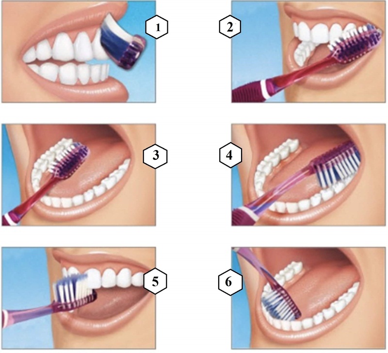 Các bước đánh răng cơ bản