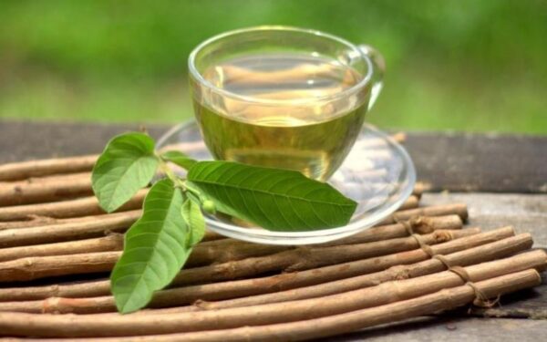 Cách 1: Súc miệng hằng ngày với nước lá ổi đun sôi